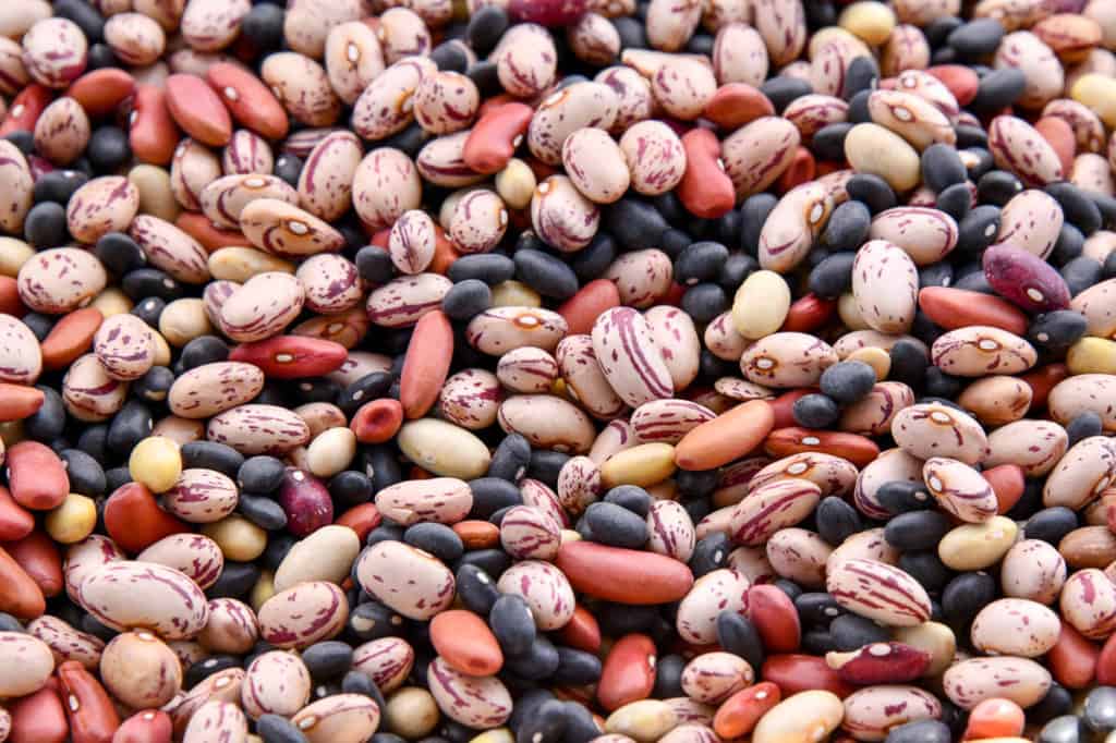 beans and weight loss