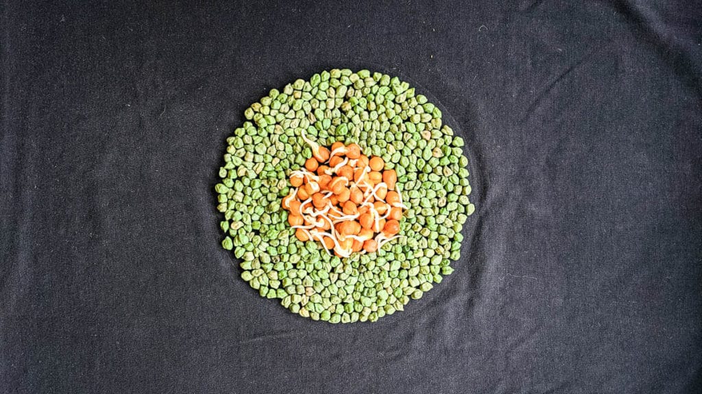 What Are Pulses: The Definition And Benefits Of Pulses