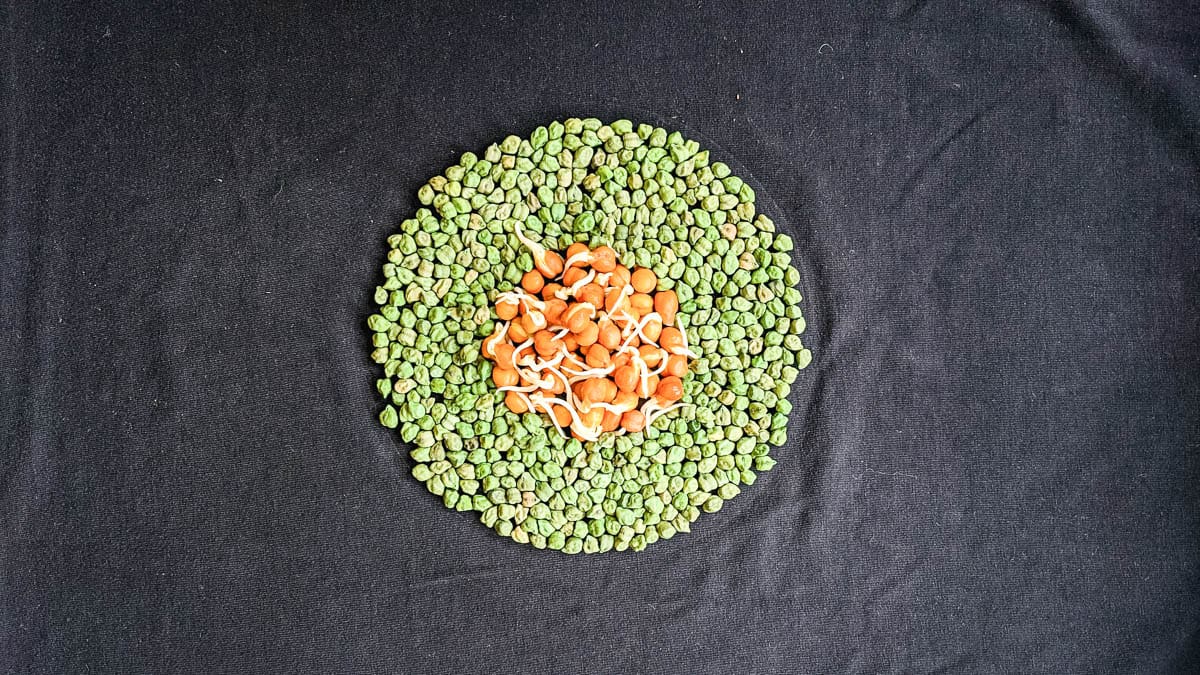 What Are Pulses: The Definition And Benefits Of Pulses