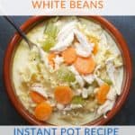 Instant Pot Creamy Chicken Noodle Soup With White Beans